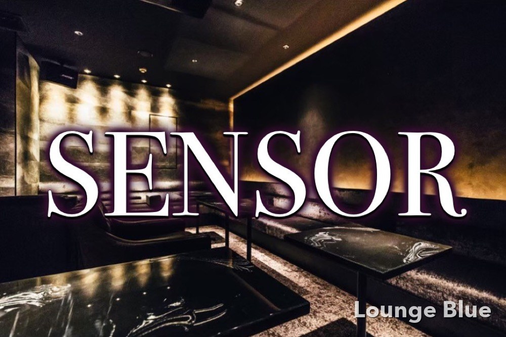 センサー （SENSOR）